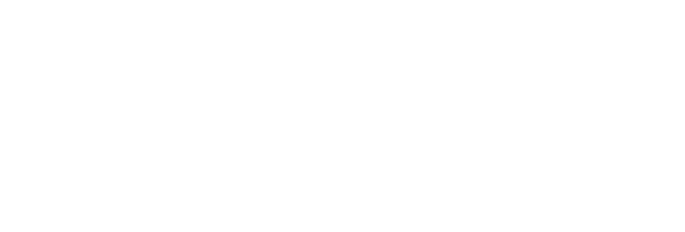 Nervii logo